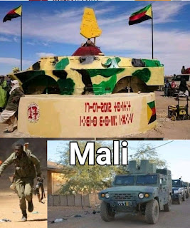 Mali Gao: l'insécurité  dans la ville après  coup d'État contre président ibk 