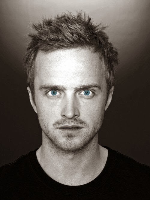 aaron paul aaron paul