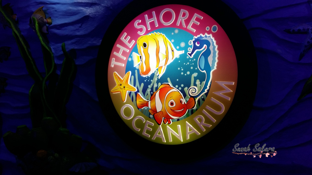 18 Tarikan Menarik Di The Shore Oceanarium Dan Vrar Interactive Park Melaka Sunah Suka Sakura