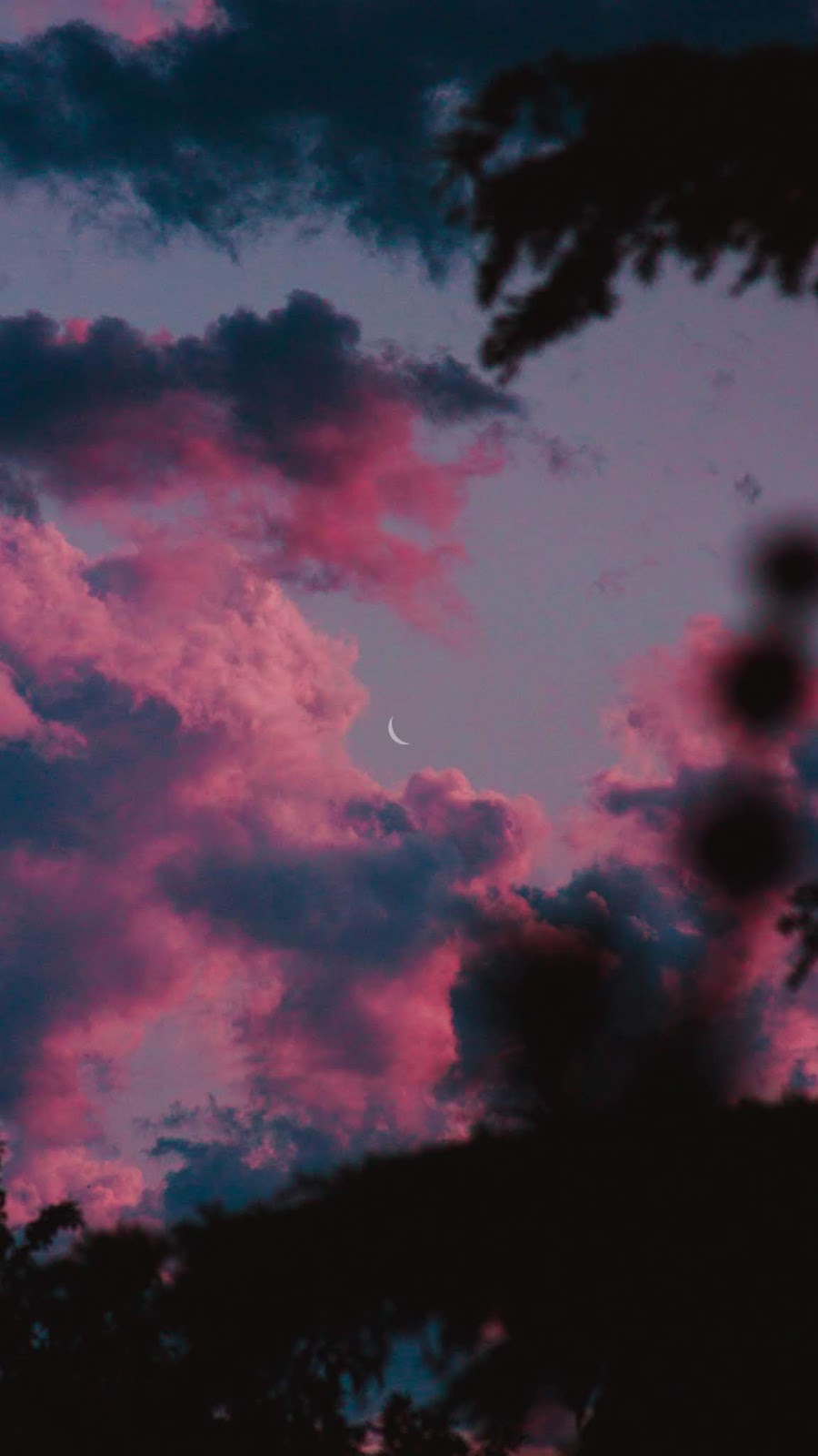 Crescent moon in the pink sky