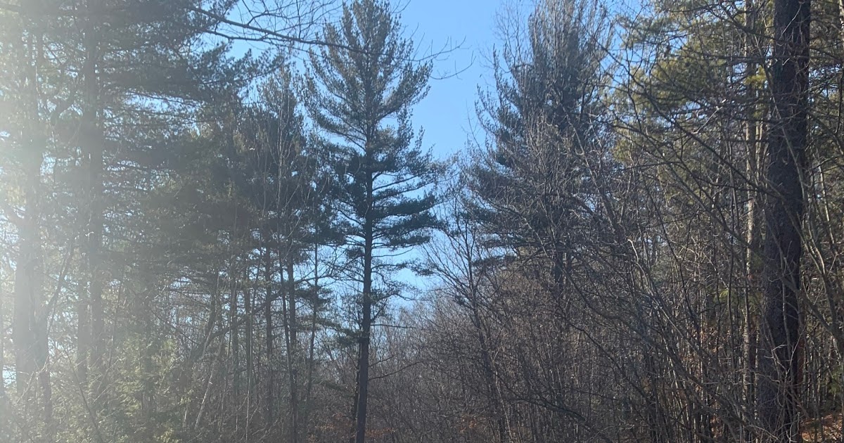 JCXC Mass Central Rail Trail (West Boylston, Massachusetts)