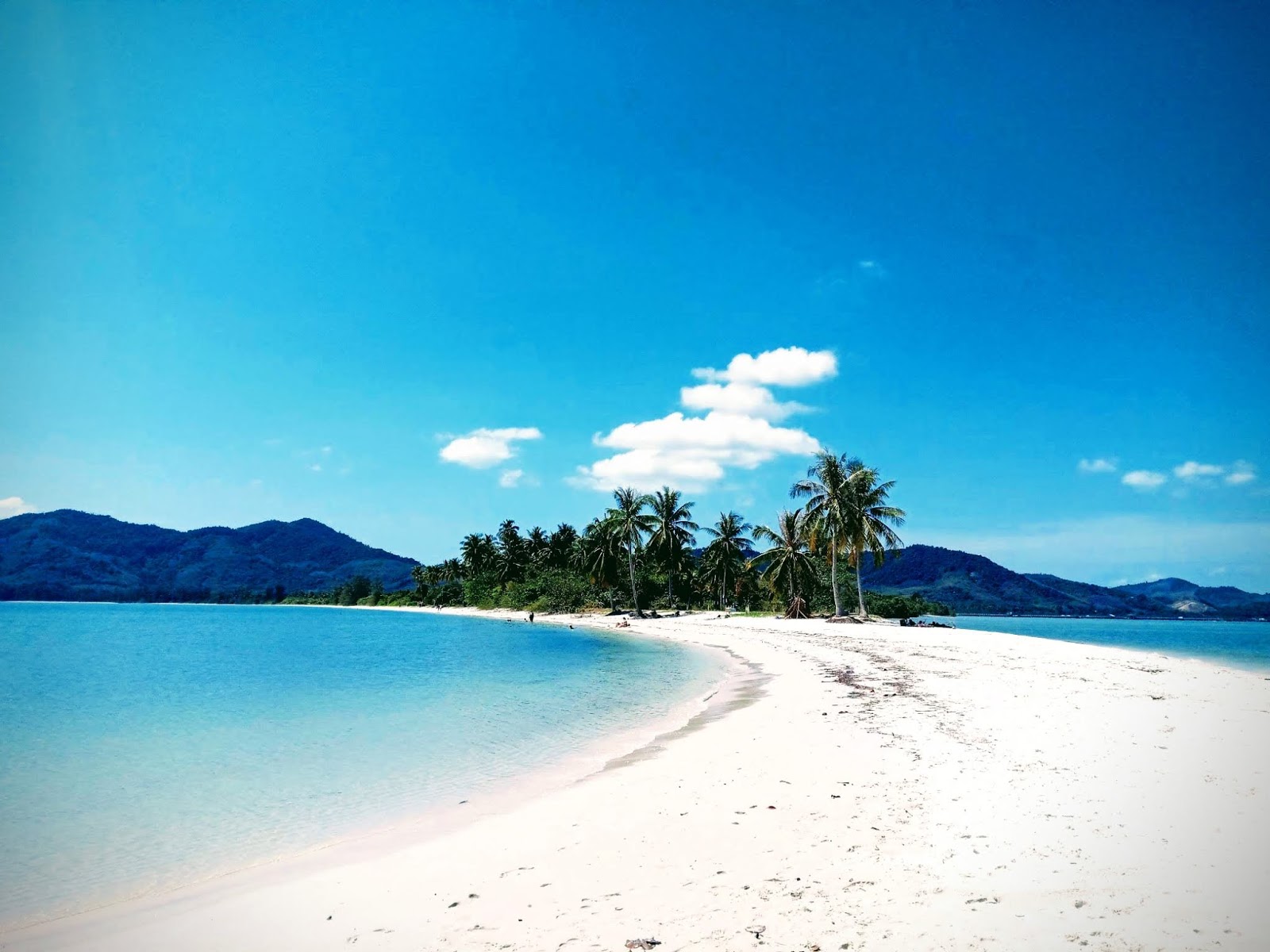 Marlenes Golden Cat Travel