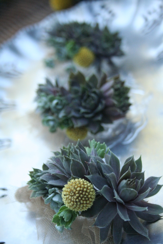 Bohemian Bouquets Craspedia (aka billy balls), globe thistle