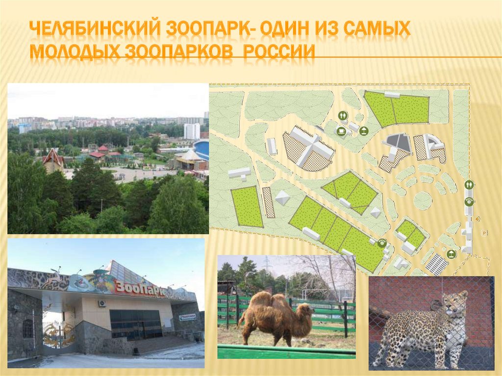 Челябинский зоопарк челябинск