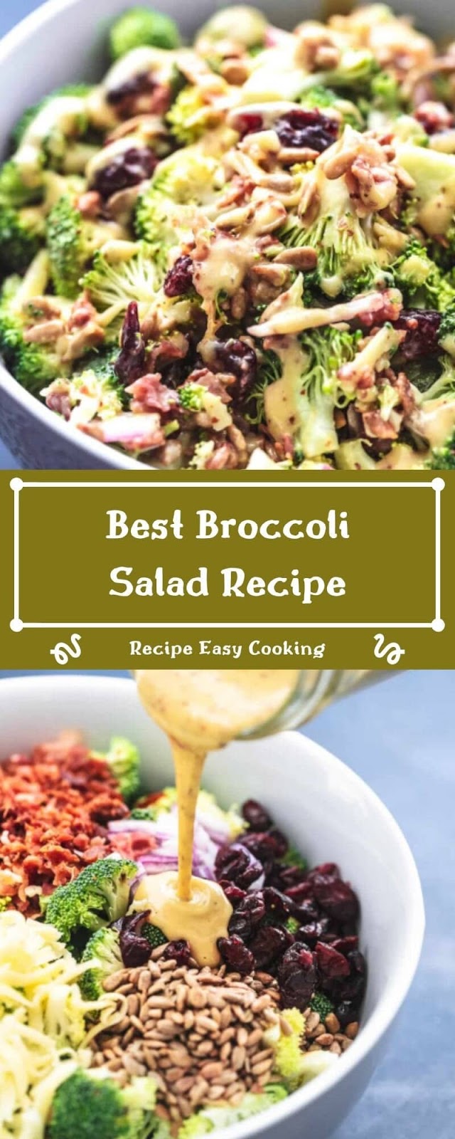 Best Broccoli Salad Recipe