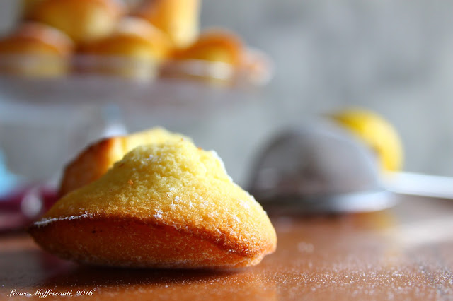 madeleines recipe easy and quick cookie