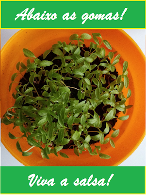 Sugestões de lembranças para aniversários; sementeiras com crianças Sugestões de lembranças para aniversários; sementeiras com crianças