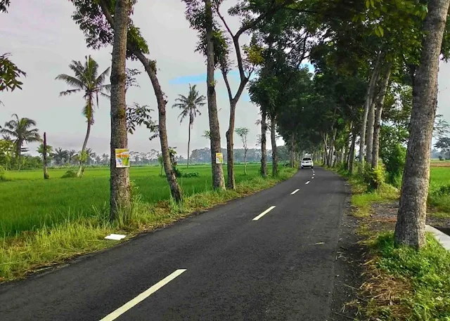 Jalan Bagus, Akses Menuju Desa Penghasil Kapol di Pangandaran Jadi Lancar