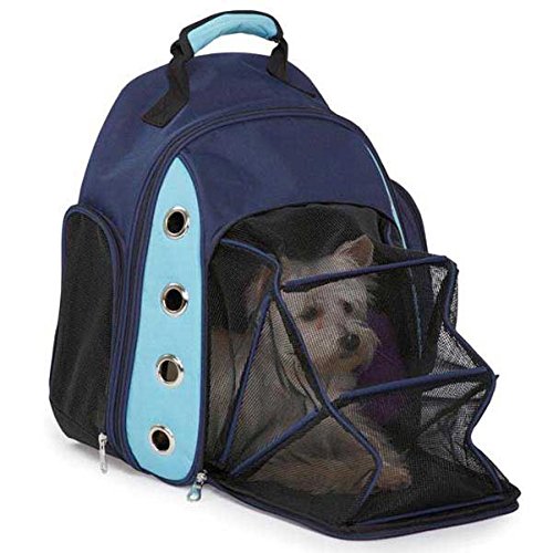 Dog Carrier Backpacks: Must-Have or Fad? | Australian Dog Lover