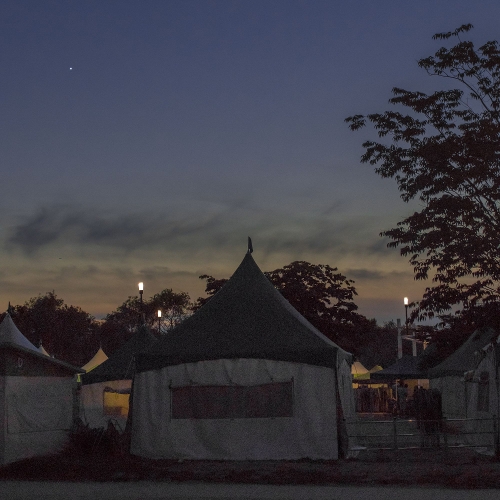 Dinner Coat – Everytime, Everyday – Single