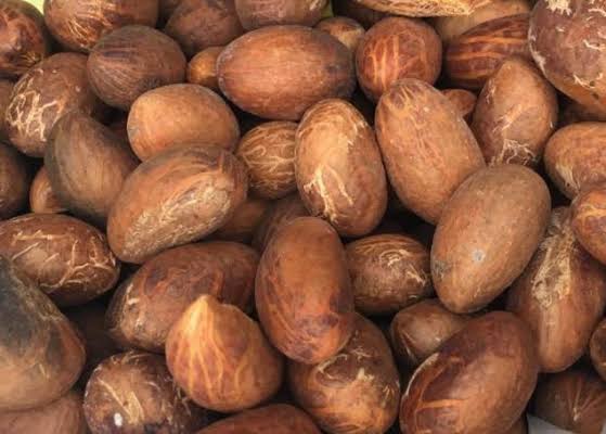 7 HEALTH BENEFIT OF BITTER COLA 1 images%2B%252825%2529