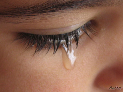 English Word Of The Day Tear s SpanishDictionary Answers english-word-of-the-day-tear-s-spanishdictionary-answers