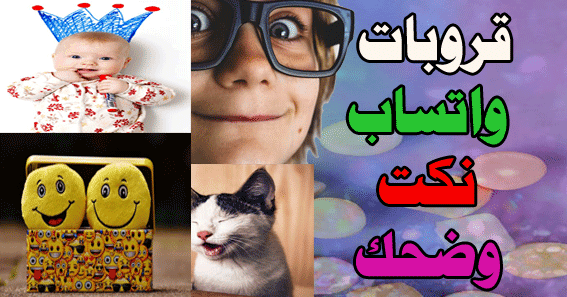 قروبات واتساب للضحك قروبات نكت وسوالف قروبات كوم