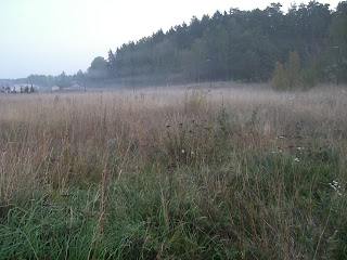 CIMG2540 - Vacker, dimmig höstmorgon