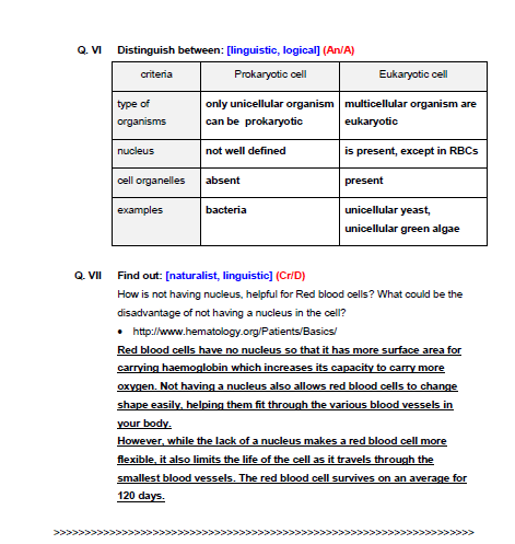 Which cell part is being described image