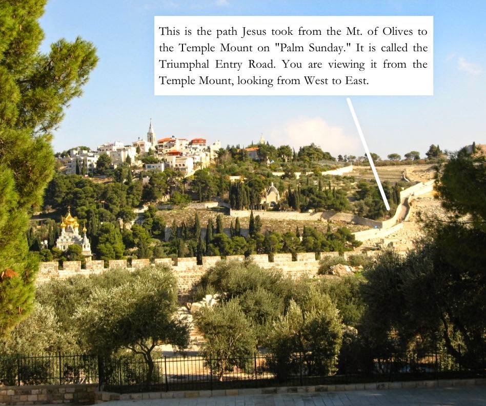 Jerusalem Mt. of Olives The Triumphal Entry Road