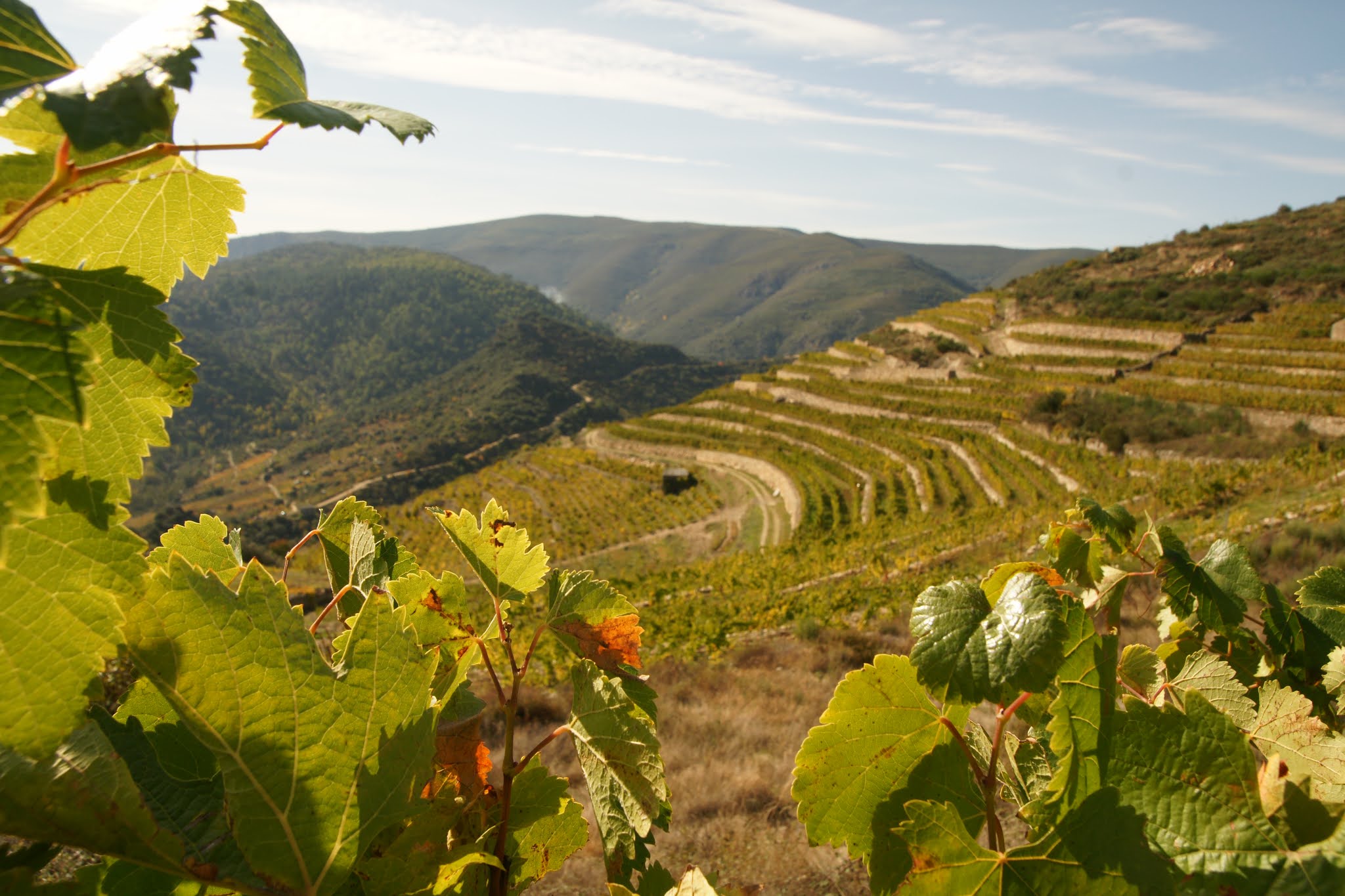 Somos Valdeorras, enoturismo Descubre el otoño en Valdeorras con