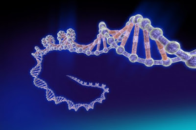 Sequenza DNA alieno nella leucemia mieloide