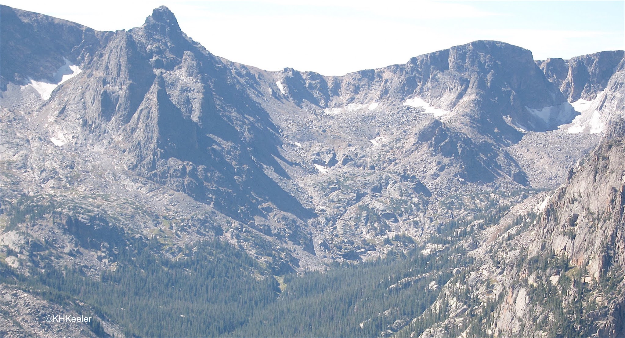 A Wandering Botanist: Alpine Tundra in Northern Colorado