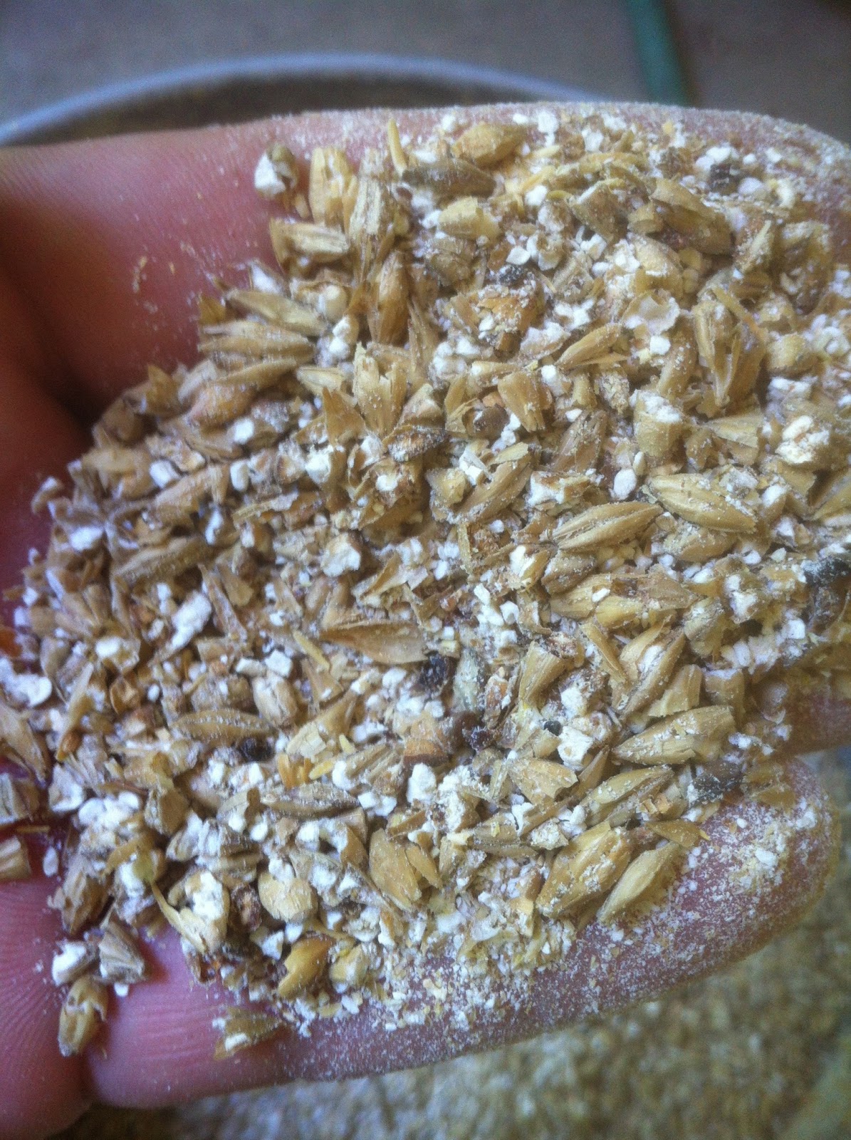 Beer Citadel All Grain Brewing Process