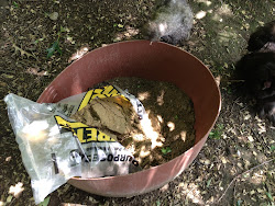 dust bath chickens chicken sand bathing tub recycled farm