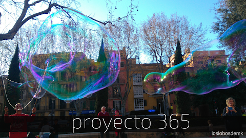 Proyecto 365 | Días 8 - 19