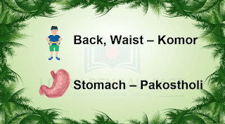 Learn 89 Human Body Parts Name in Bengali ( Including Video & Pictures