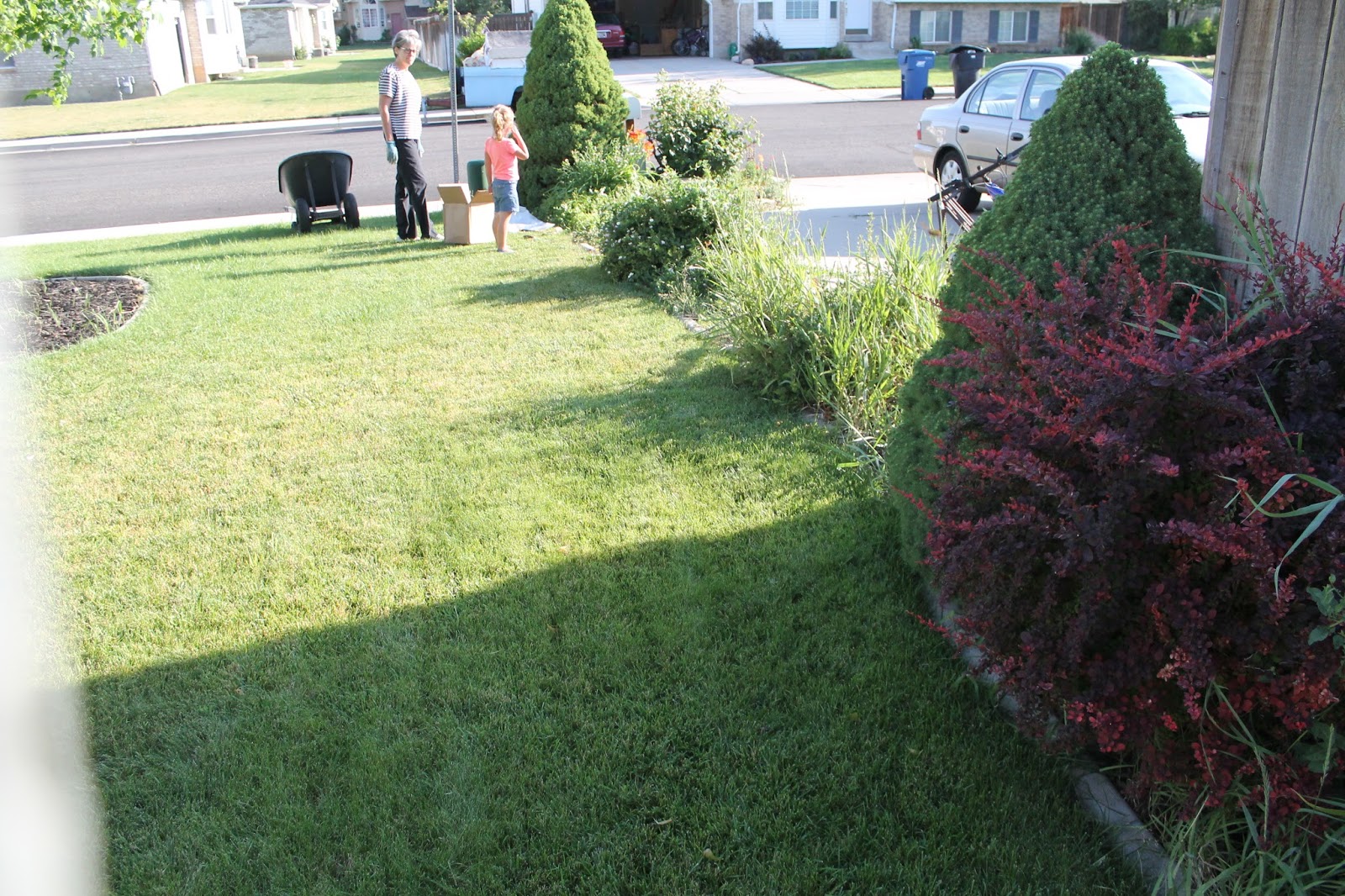 Shrubs For Landscaping Front Yard