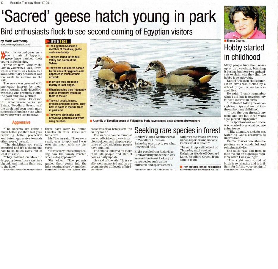Redbridge Birdwatching / London Birdwatching Todays Ilford Recorder