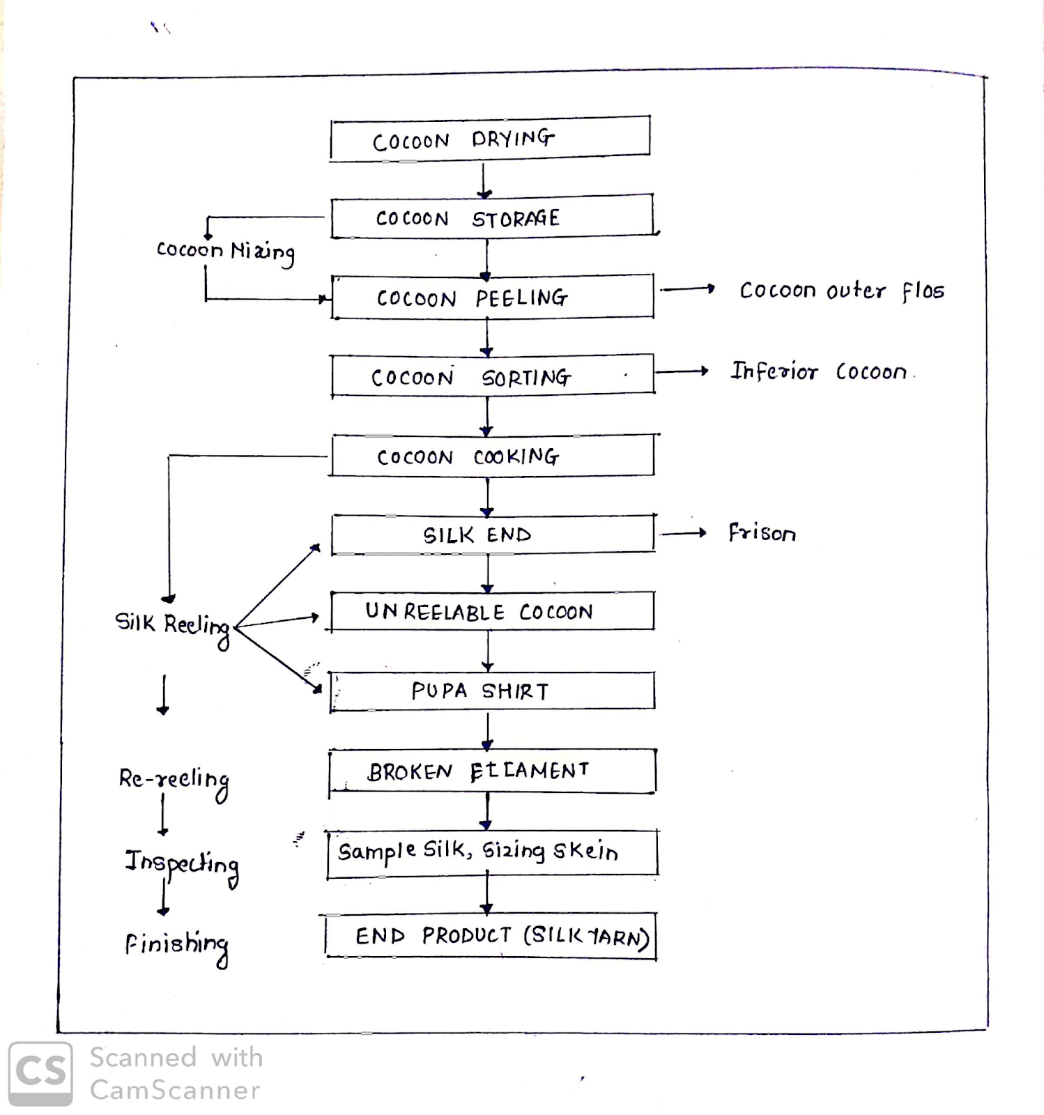 Silk Production Process