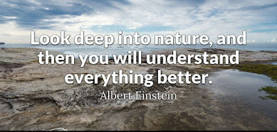 Quotes About Nature