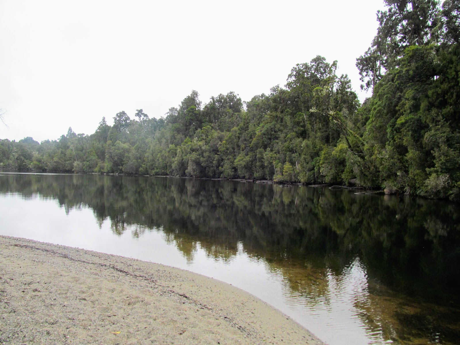 Tramping in the New Zealand backcountry NZ Bush Adventures Hokitika