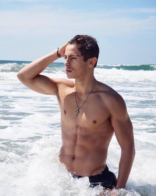 Alexis_Superfan's Shirtless Male Celebs: Jake T Austin shirtless beach ...