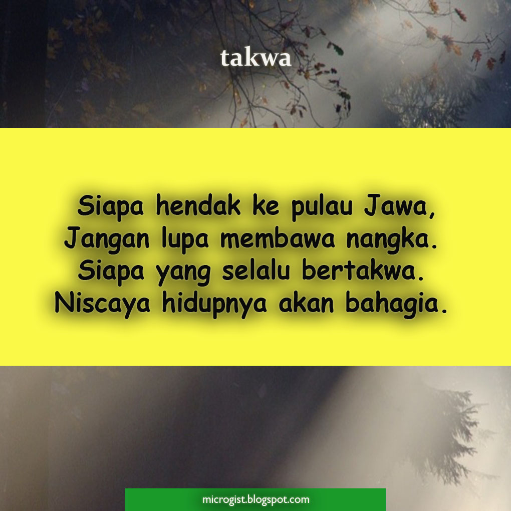 70 Pantun NASEHAT Dan Maknanya Lengkap Semua Kelas microgist