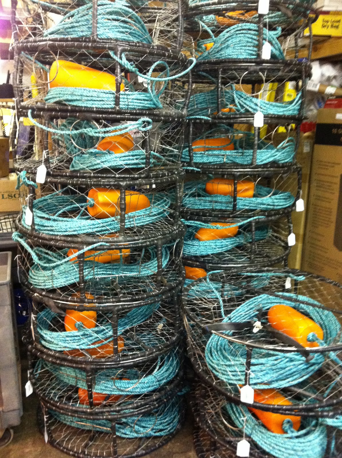Sporty XL 24X18 CRAB TRAP c/w 60' Non- tangle rope *FREE