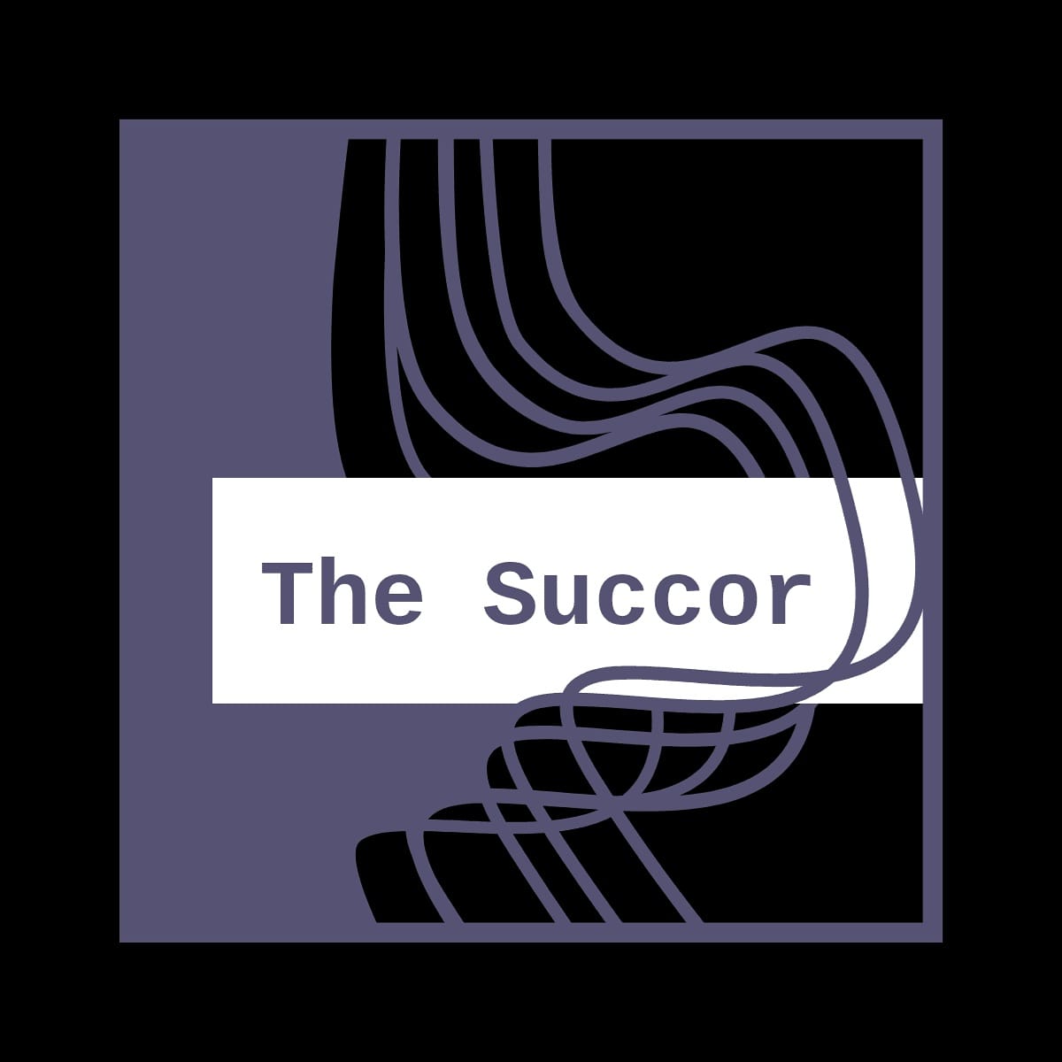 The Succor-The poem teller