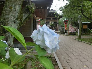 �]�̓��̂�������