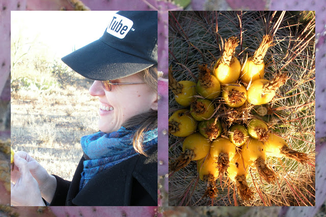 Things to Do in Arizona - Eating Cactus Fruit