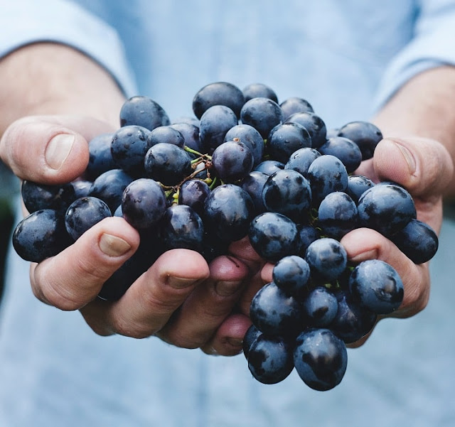 Aneka Buah Sehat dan Segar Harian