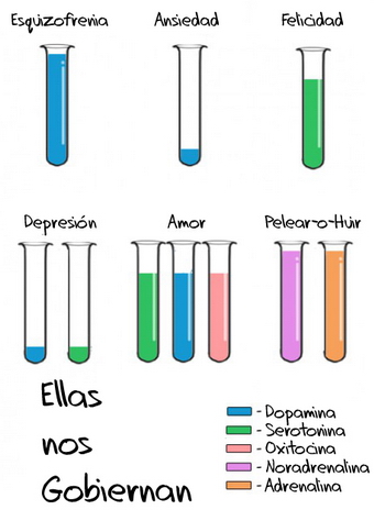 Neurotransmisores / Hormonas