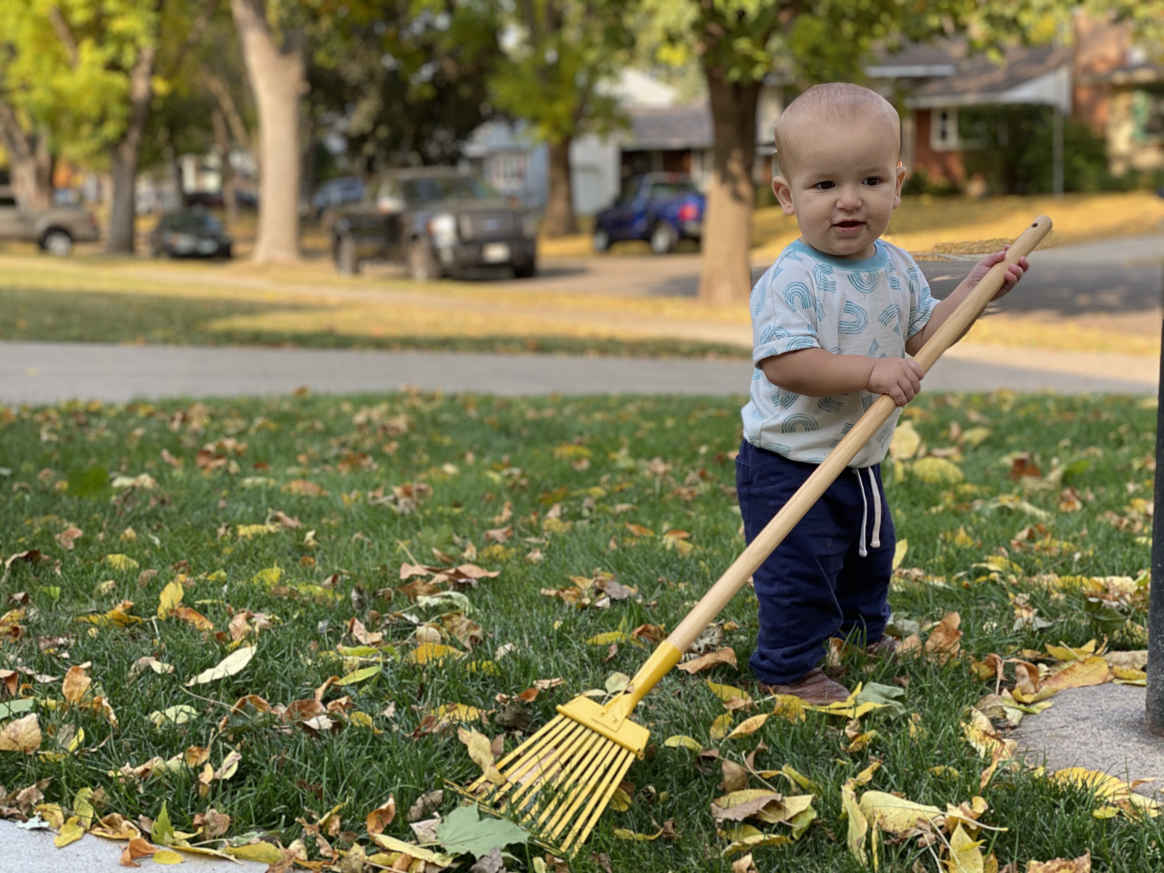 Pushing, Pulling, Carrying Young Toddler Options