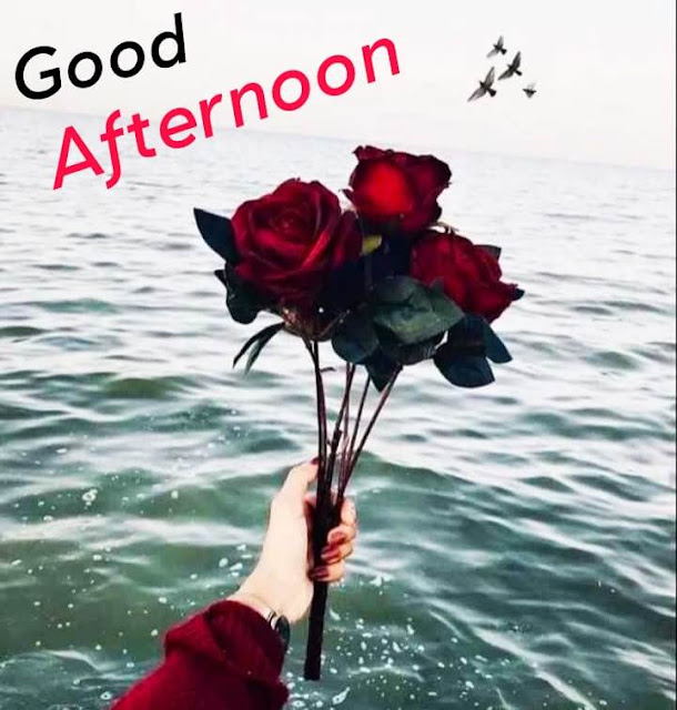 Good Afternoon Images Download, Good Afternoon Images For Whatsapp, good afternoon images download hd, good afternoon image new, good afternoon images, romantic good afternoon images,