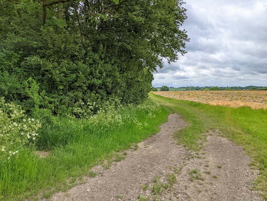 Heading S on Anstey footpath 13 Heading S on Anstey footpath 13