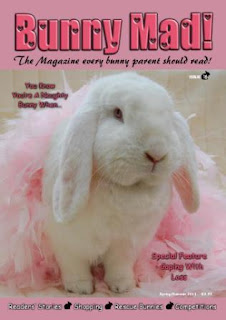 Bunny Mad Magazine