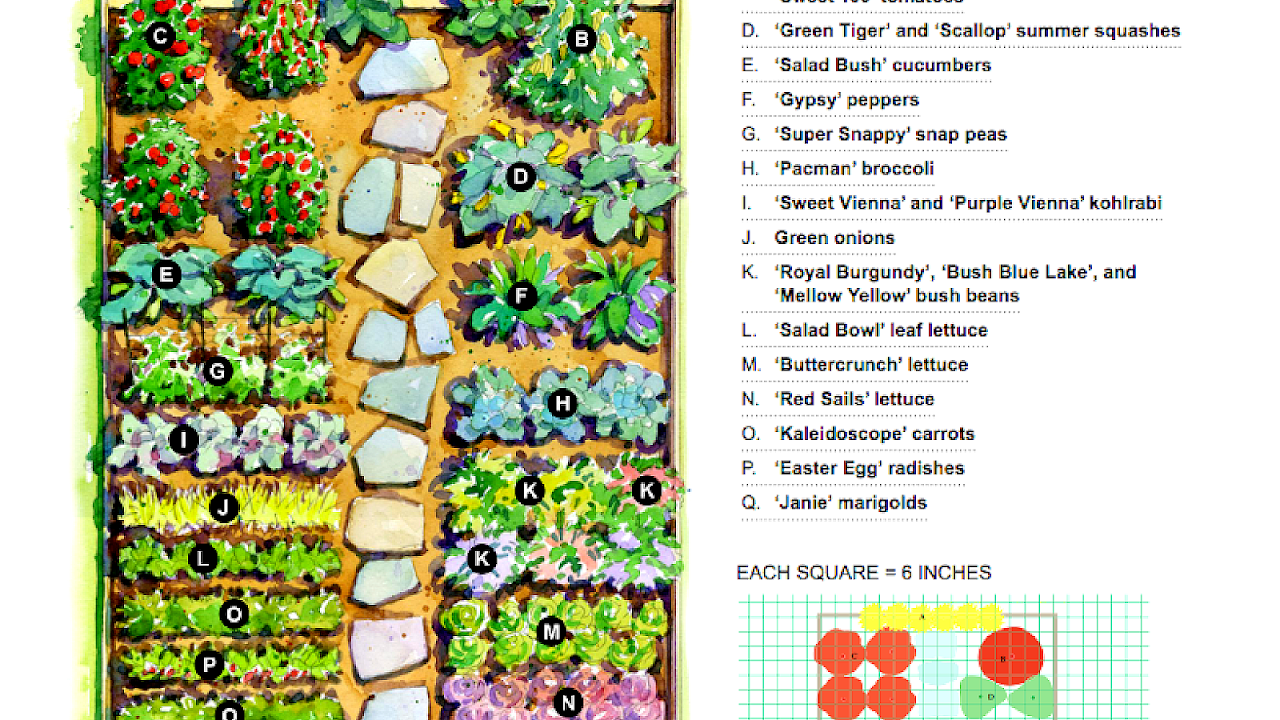 vegetable garden planner software free download vegetable garden planner software free download