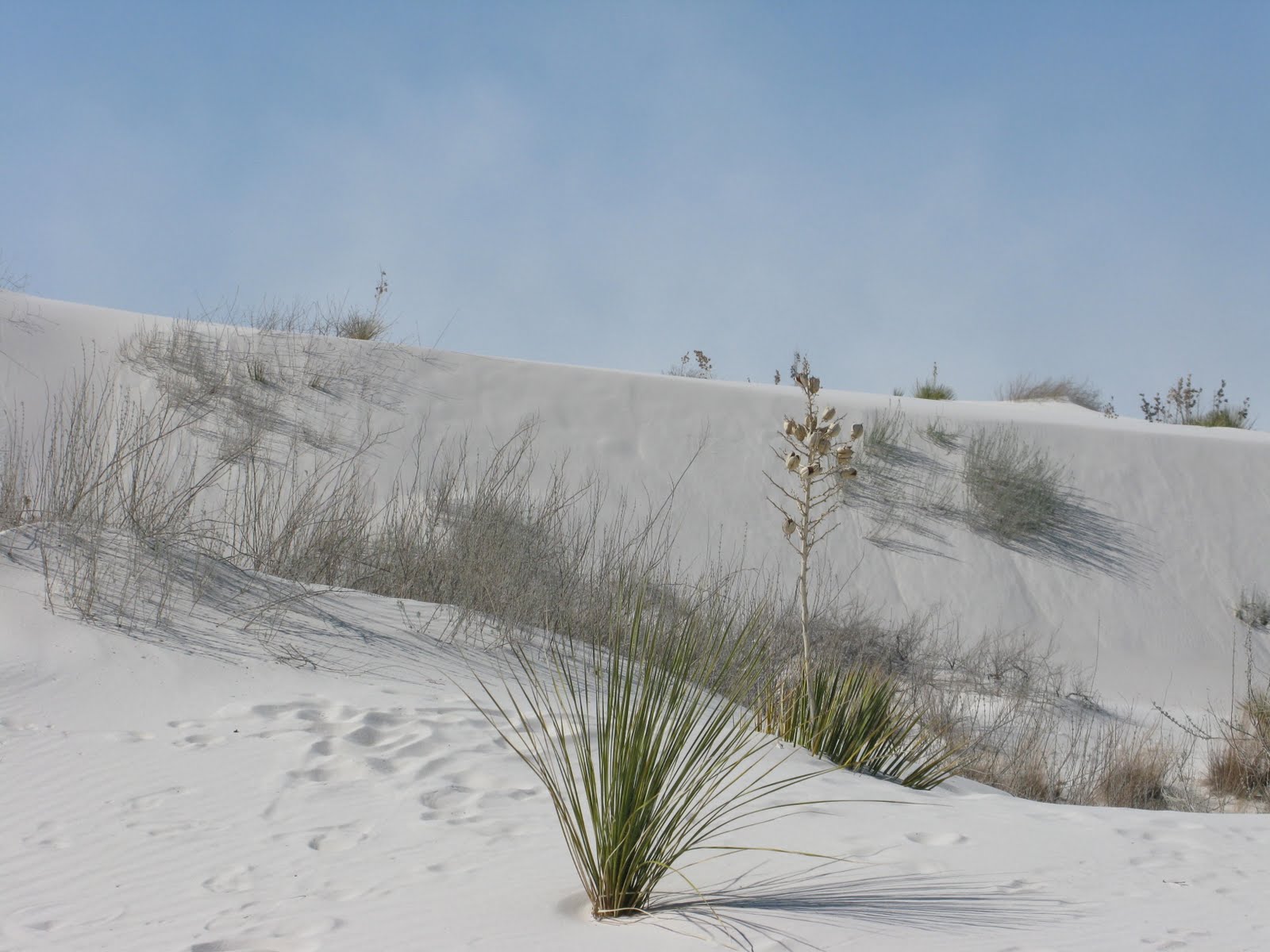 C2C Las Cruces New Mexico and the White Sands National Monument