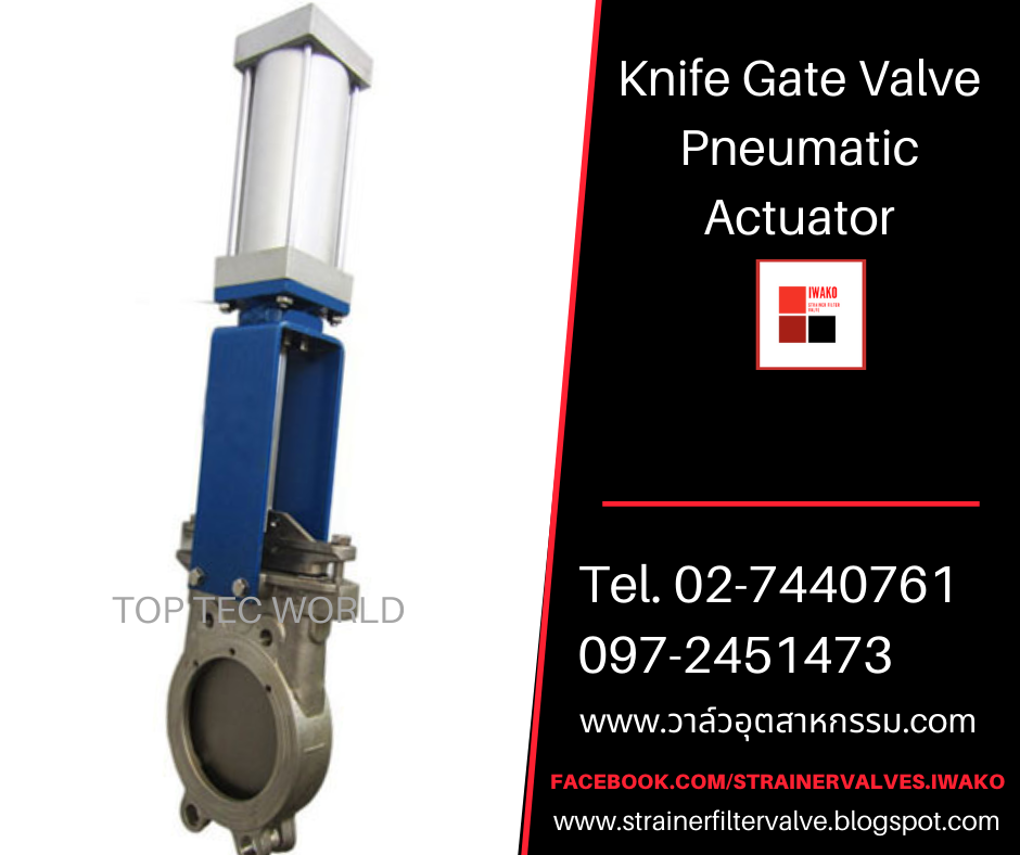 StrainerFiltervalve Knife Gate Valve Pneumatic Actuator