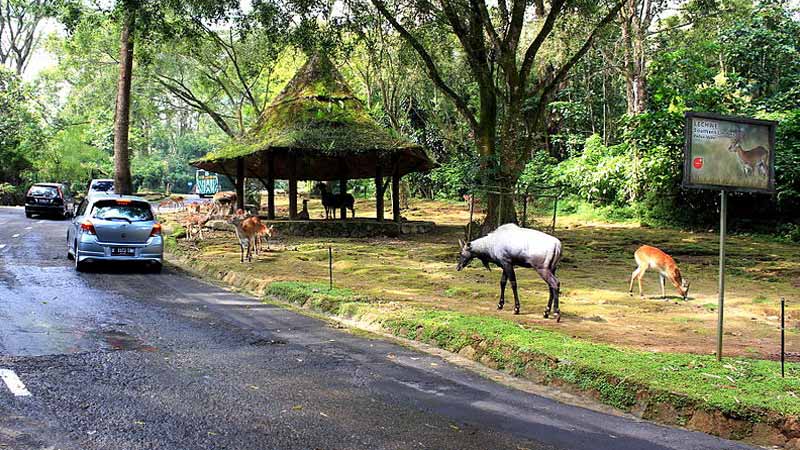 Objek Wisata Alam Bogor Yang Mudah Dijangkau