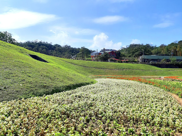 【台北市內湖區 / 旅遊 / 步道健走】 內湖半日健走 大溝溪 圓覺寺步道 瀑布 白石湖吊橋 同心池