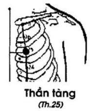 Vị trí huyệt thần tàng